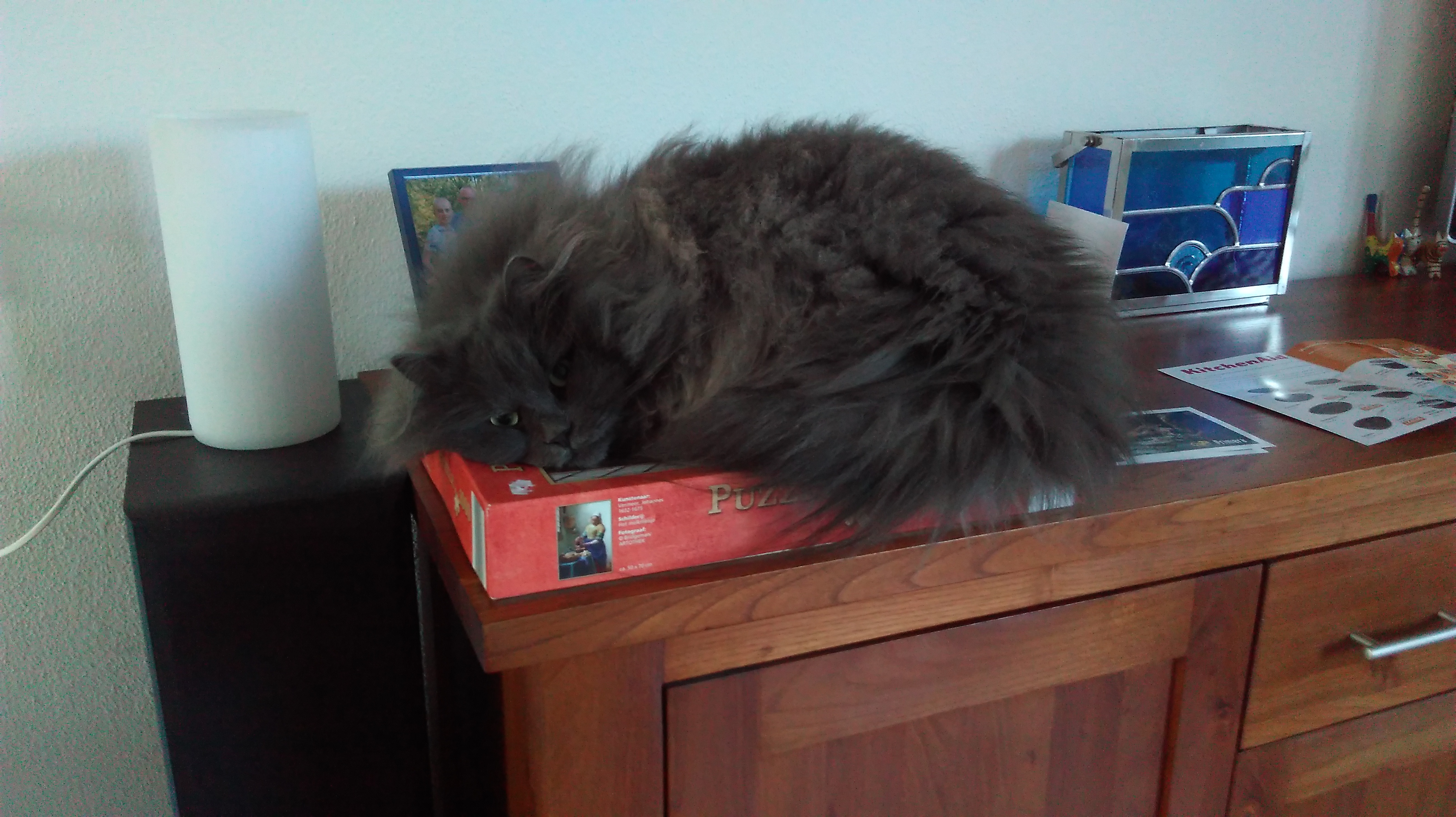 2019-Ode aan huisdieren-foto2