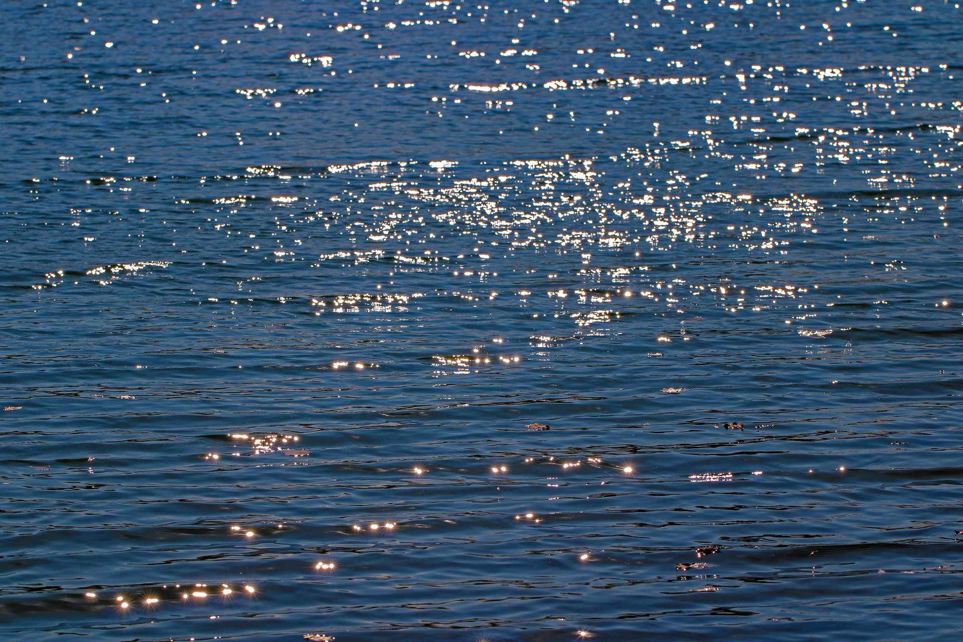 2020-Geheugenfoto-foto